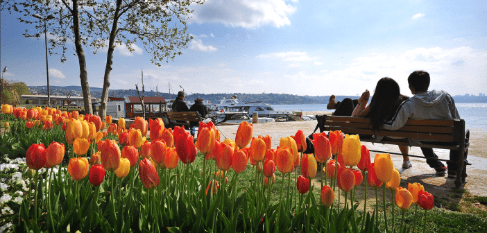 Le printemps à Istanbul