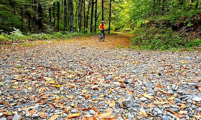 belgrad-forest-istanbul