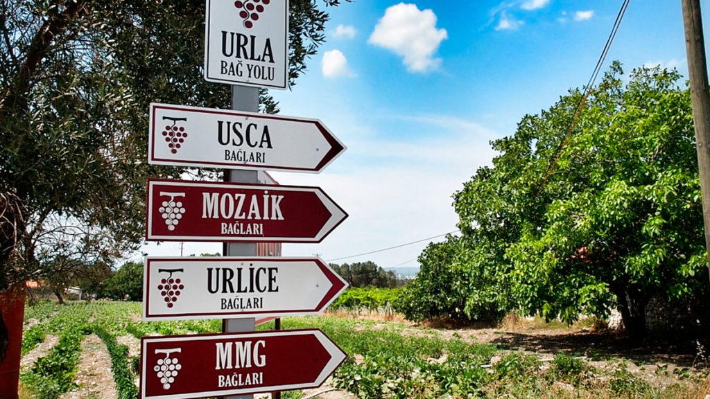 La route des vignobles d'Urla près d'Izmir, Turquie