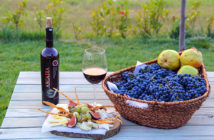 Connaissez-vous les vins et cépages turcs ?